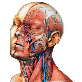 ANATOMY WORLD