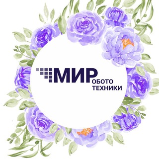 МИР РОБОТОТЕХНИКИ