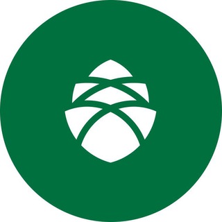 CONOMICA | УПРАВЛЕНИЕ ДЕБИТОРКОЙ