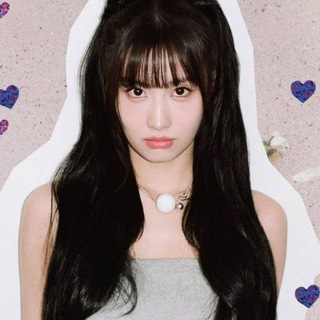 MOMO •• LAND