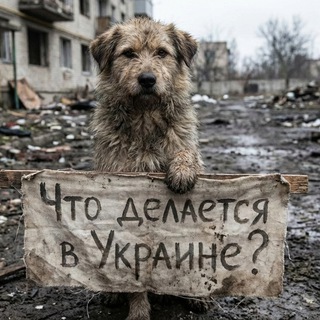 ПРАВДАТУТ NEWS