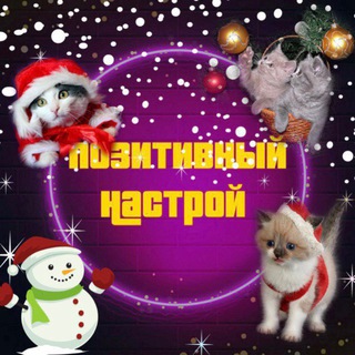 ПОЗИТИВНЫЙ НАСТРОЙ