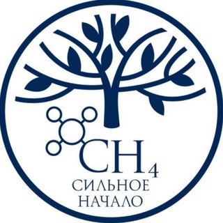 ГАЗПРОМ ШКОЛА САНКТ-ПЕТЕРБУРГ