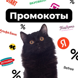 ПРОМО КОТЫ - СКИДКИ И ПРОМОКОДЫ