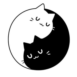КОТОКАФЕ ПОМУРРРЧИМ |БЛАГОВЕЩЕНСК