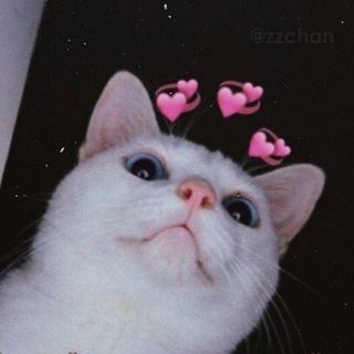 LOVE PICTURES