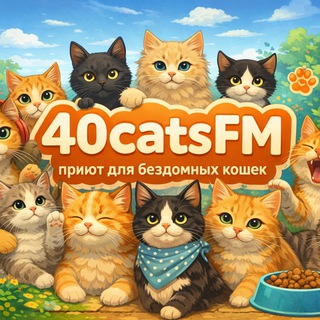40CATSFM