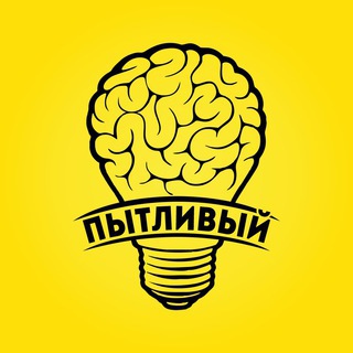 ПЫТЛИВЫЙ