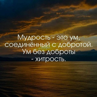 АФОРИЗМЫ | ЦИТАТЫ