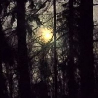 KONINДОМ