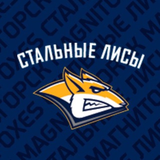 МХК «СТАЛЬНЫЕ ЛИСЫ»
