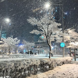 KOREA/SEOUL