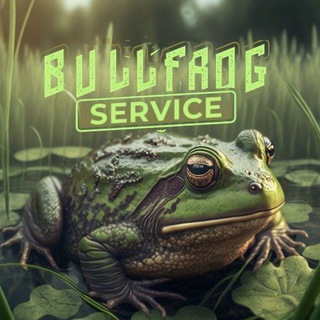 BULLFROG - СЕРВИС ПРОДАЖИ ЦИФРОВЫХ ТОВАРОВ И УСЛУГ!