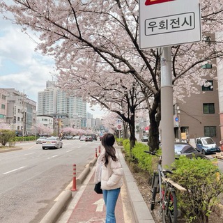 ˚ ﹡KOREA﹡˚