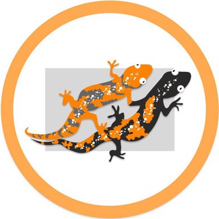 КАНАЛ