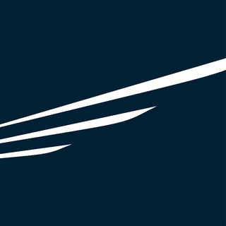 VIP GROUP AERO