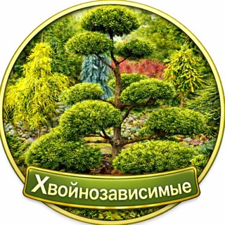 CONIFEROUS_GARDEN КАНАЛ