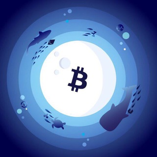 CRYPTO AQUARIUM