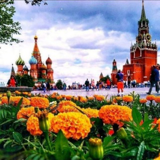 MOSCOW | CHAT NUMBER 1 )