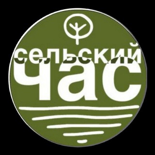 СЕЛЬСКИЙ ЧАС - ЧАТ