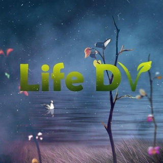 ЛАЙФДВ LIFEDV
