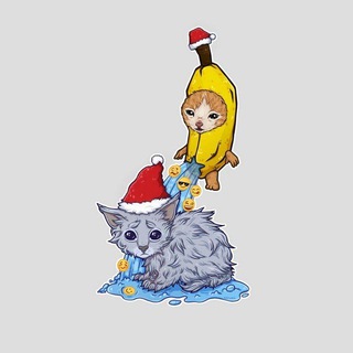 HOWTOWASHACAT