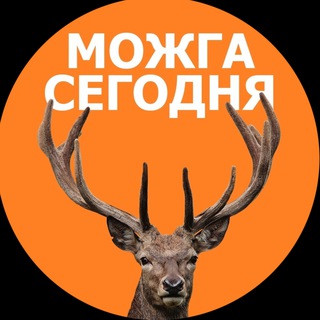 МОЖГА СЕГОДНЯ