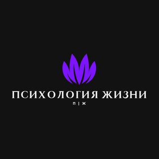 VLADISLAV TEAM