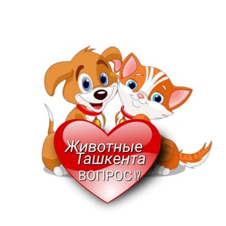 ВОПРОСЫ ЖИВОТНЫЕ ТАШКЕНТА