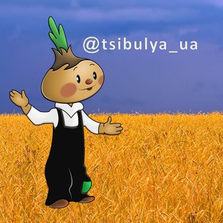 ЦИБУЛЯ
