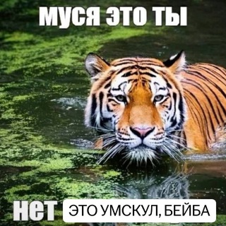 ТВОЙ ДРУГ В ПЕРИОД ЕНТ | УМСКУЛ КАЗАХСТАН