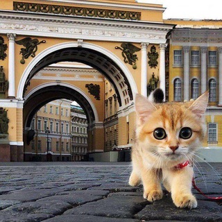  ФОНТАНКА СПБ