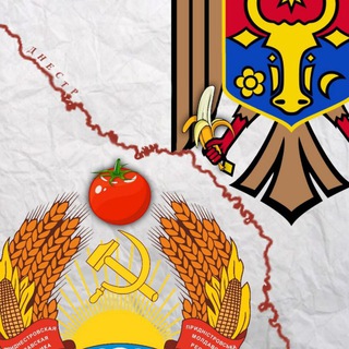 БАНАНОВЫЙ ПОМИДОР. МОЛДОВА ПРИДНЕСТРОВЬЕ ГАГАУЗИЯ 