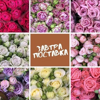 ЦВЕТЫ ОПТОМ ИМПЕРИЯ ЦВЕТОВ