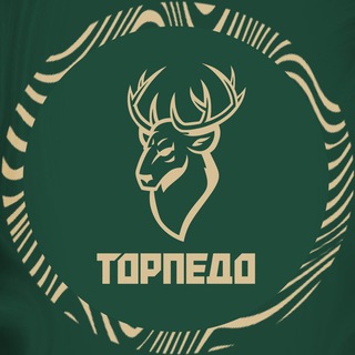 ПКМФ «ТОРПЕДО» НИЖЕГОРОДСКАЯ ОБЛАСТЬ
