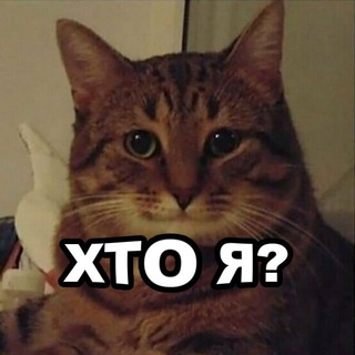 ✙ ДУМИ ✙