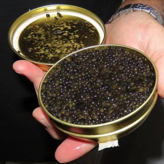 КРАСНАЯ ИКРА МОРЕПРОДУКТЫ
