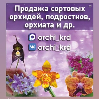 ОРХИДЕИ И ВСЕ ПРО НИХ. ОТПРАВКА ПО РФ