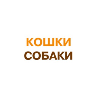КОШКИ-СОБАКИ КРАСНОЯРСКА. 2999999.