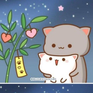 MOCHI PEACH CAT