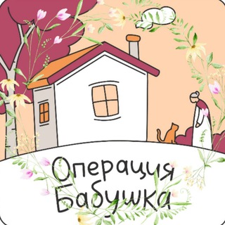 БФ «СПЕЦОПЕРАЦИЯ БАБУШКА»