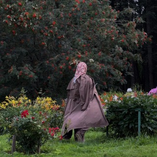 DOCTOR SAFIYA