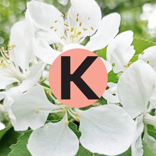 КАЛИНИНГРАДСКАЯ ПРАВДА
