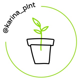 KARINA_PLNT