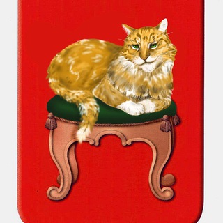 ВСЕ КОТЯТА ТВЕРИ