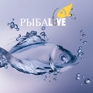 РЫБАЛКА | РЫБАLOVE