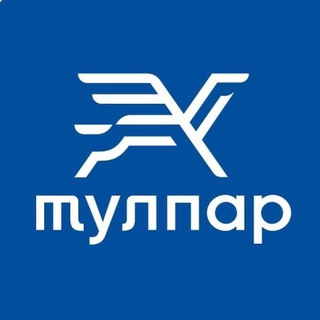 ТУЛПАР - ЕДИНАЯ ТРАНСПОРТНАЯ КАРТА Г. БИШКЕК