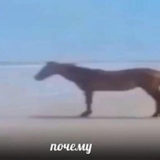 БЛОК ТОЛК (ЭТО ВАМ НЕ ПРОСТО КАНАЛ...)