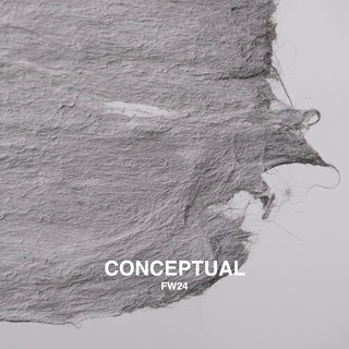 CONCEPTUAL