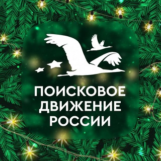 ПОИСКОВОЕ ДВИЖЕНИЕ РОССИИ